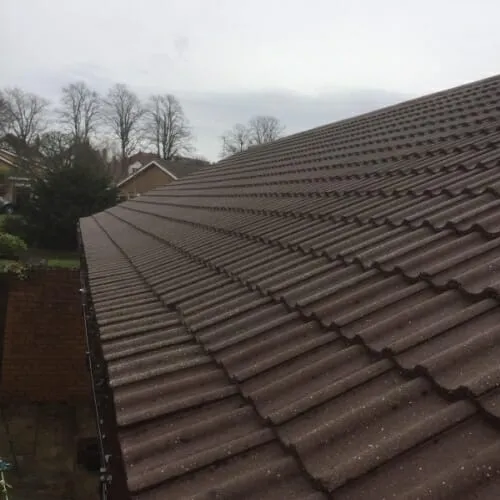 Clean roof after professional roof cleaning